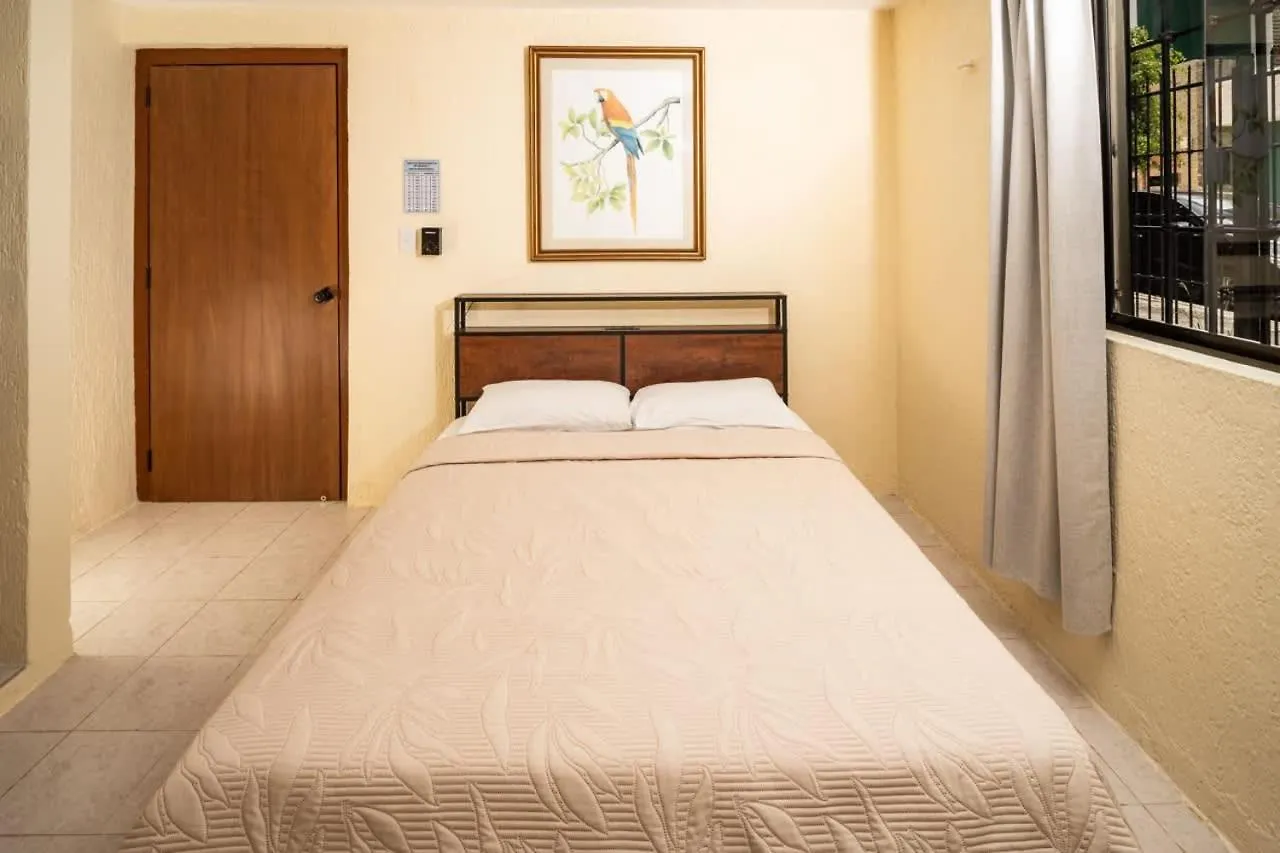 Casa Jurel Apartment Ideal Location In Cancun 2 Bedrooms Free Wifi And Kitchen